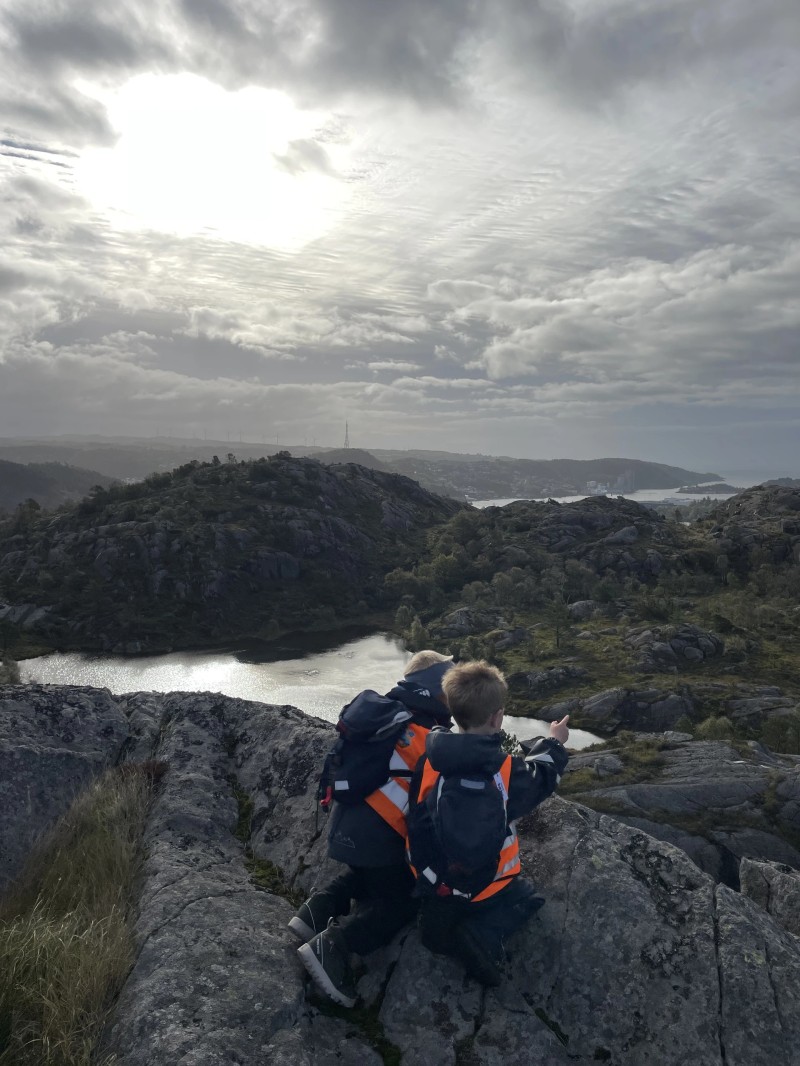 Leidlandstoppen