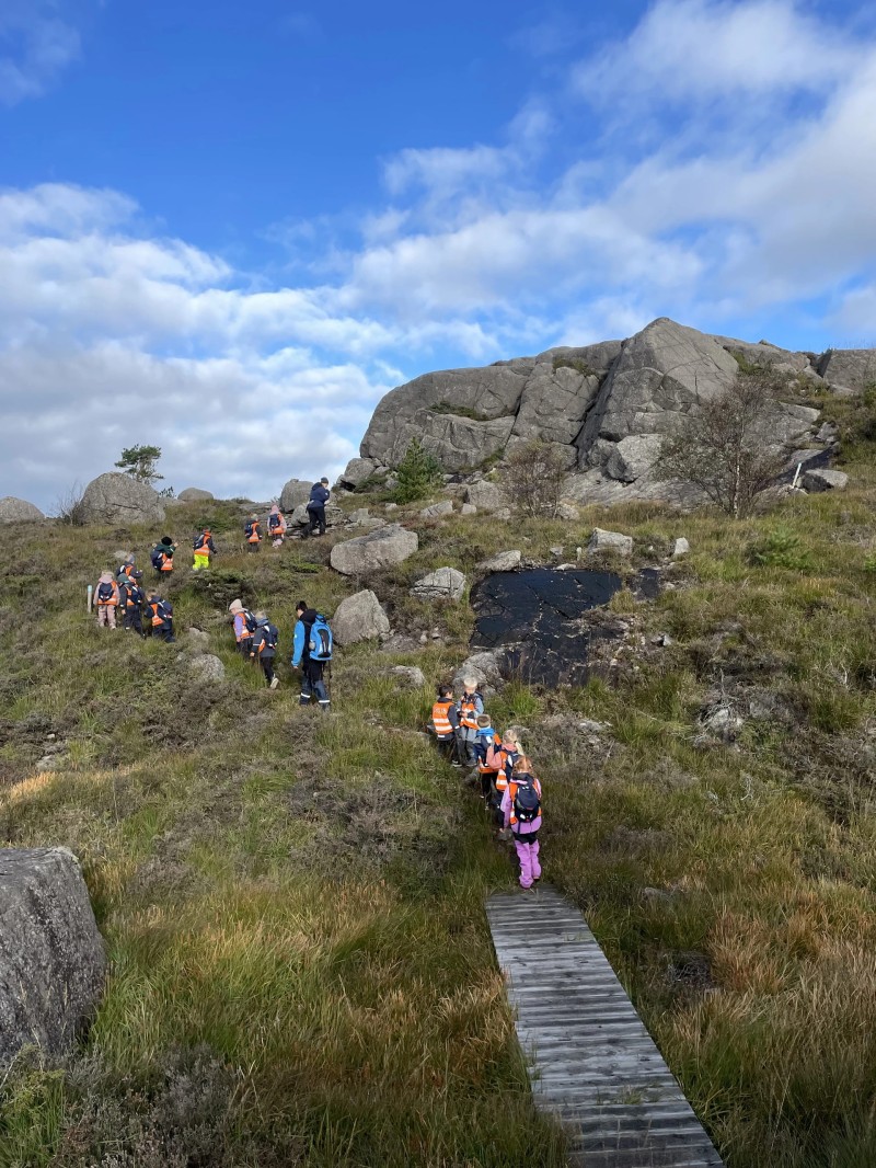 Skog og mark rett utenfor barnehagen vår!