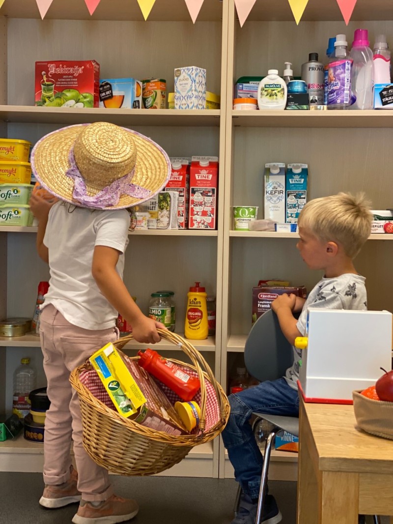 Hva ønsker du å handle i dag