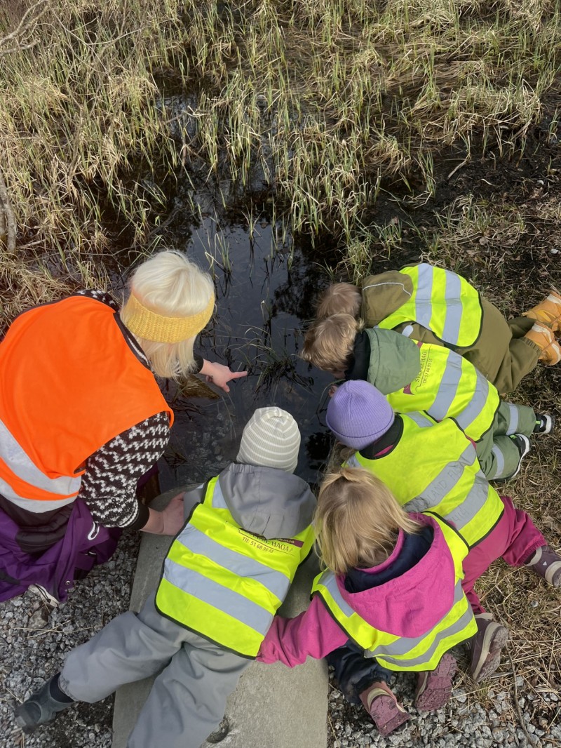 Vi utforsker hva naturen har å by på.