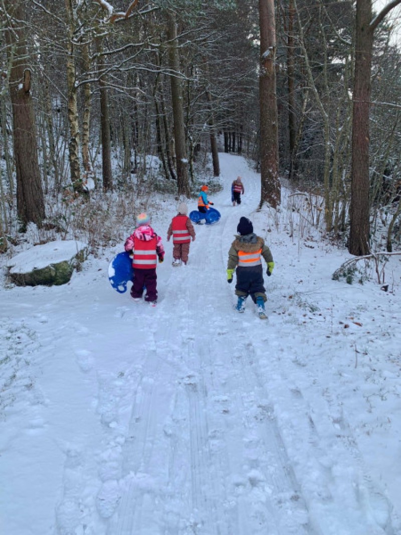 Klar for vinterlek og moro i skogen