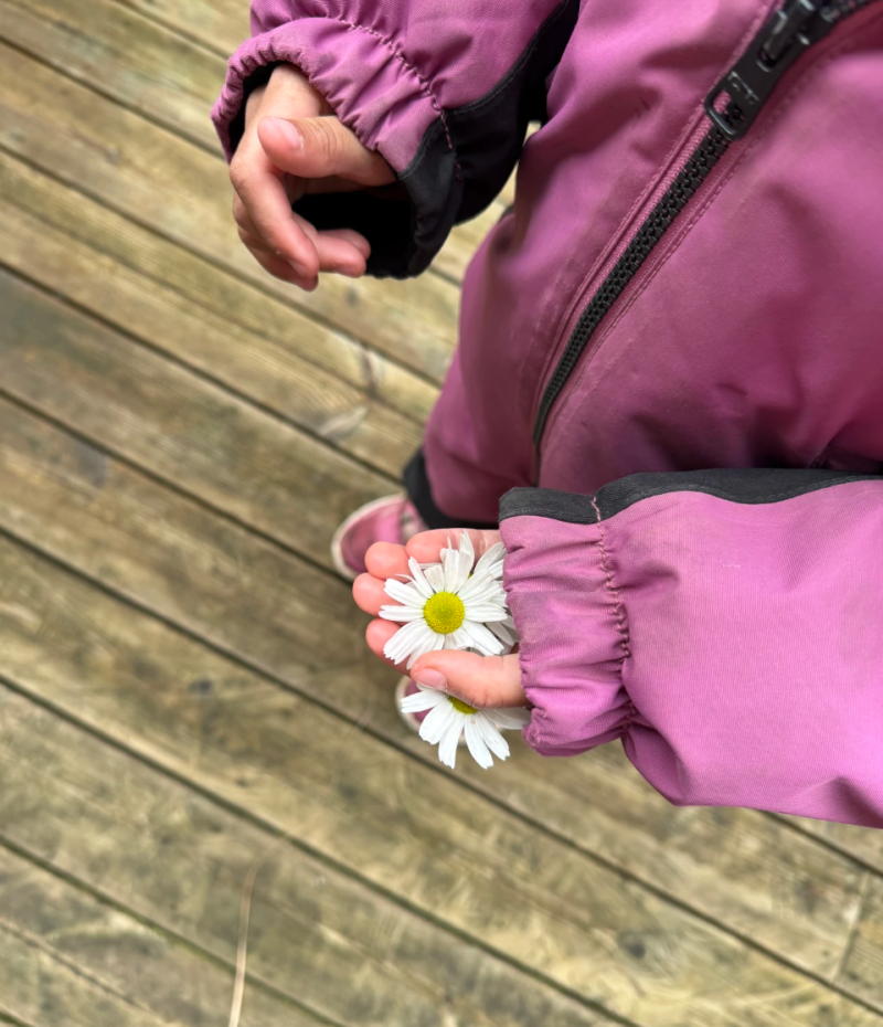 Blomster små