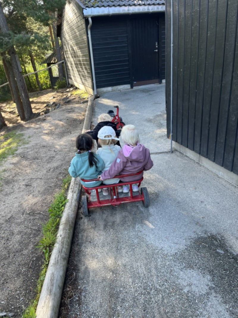 sykkeltur