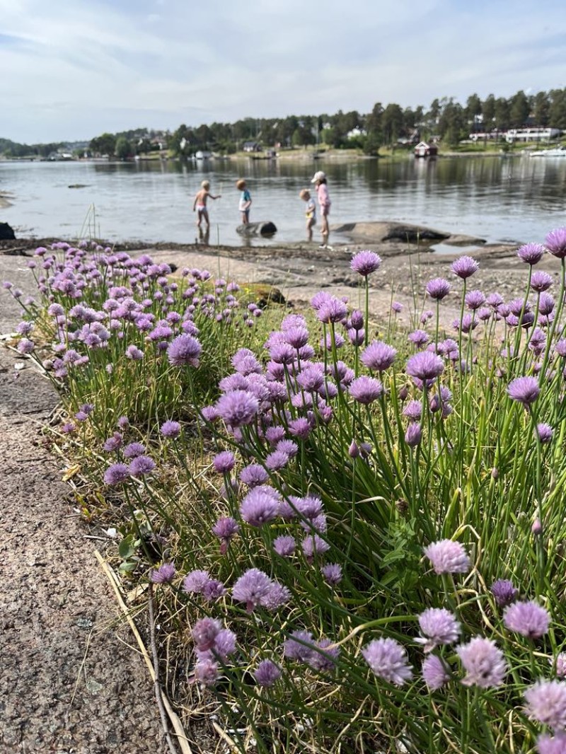 Øytur