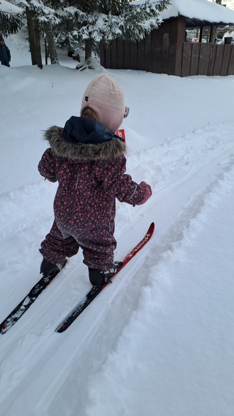 Skiglede