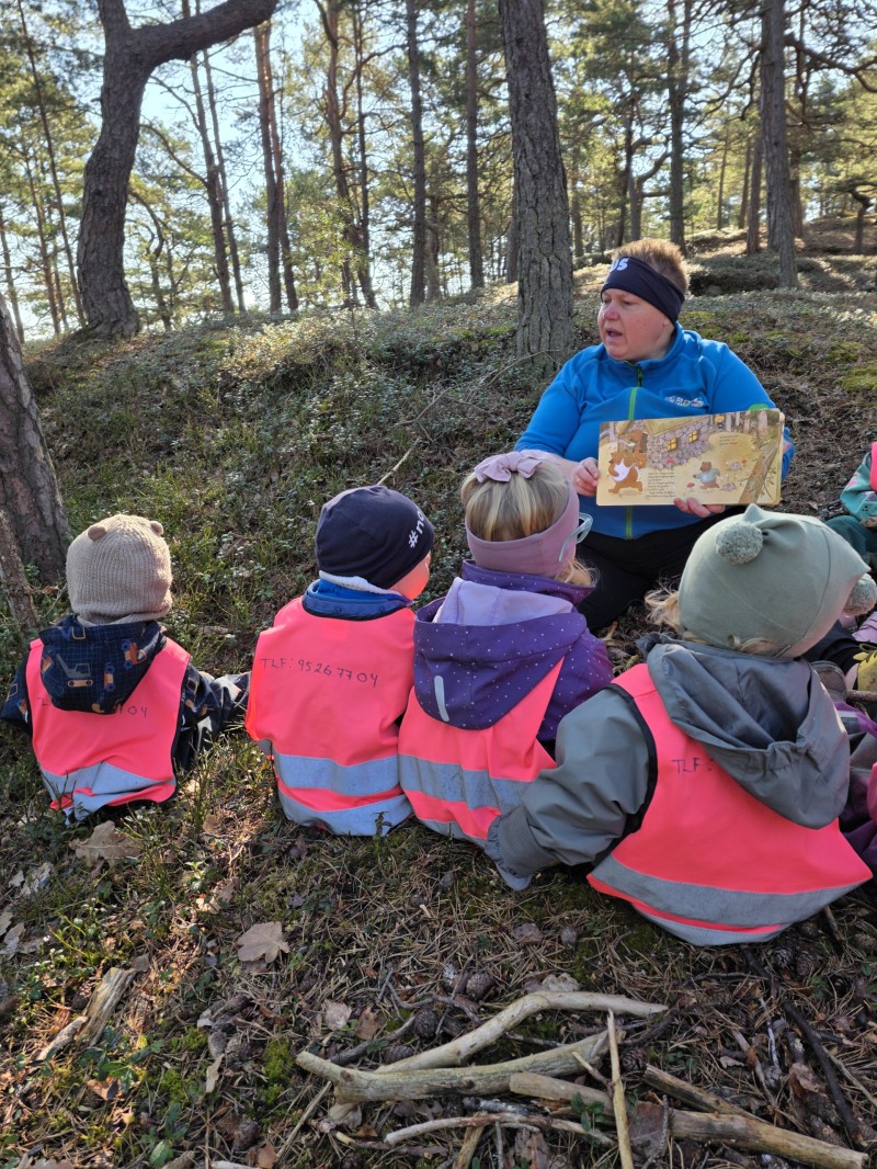 Eventyr i skogen