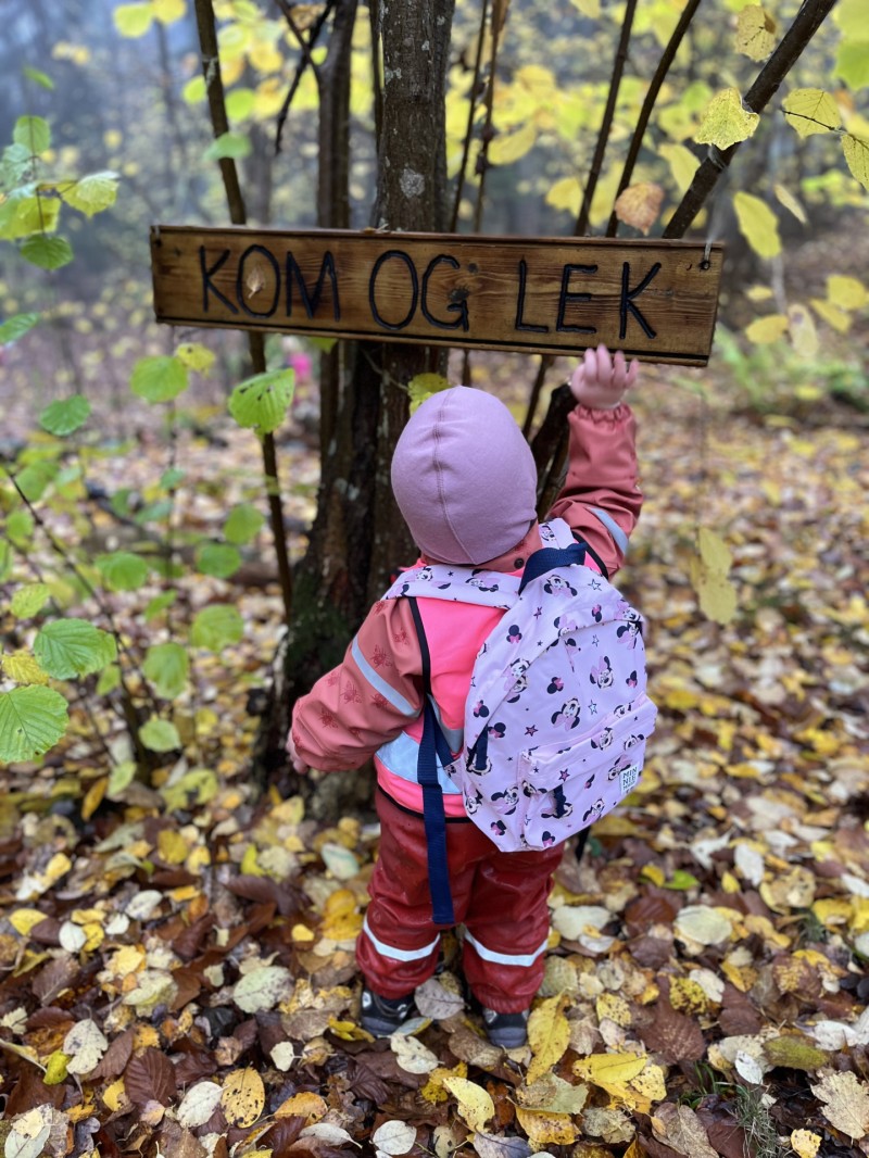 Vi har vår egen "Venneskog" rett utenfor porten til barnehagen!