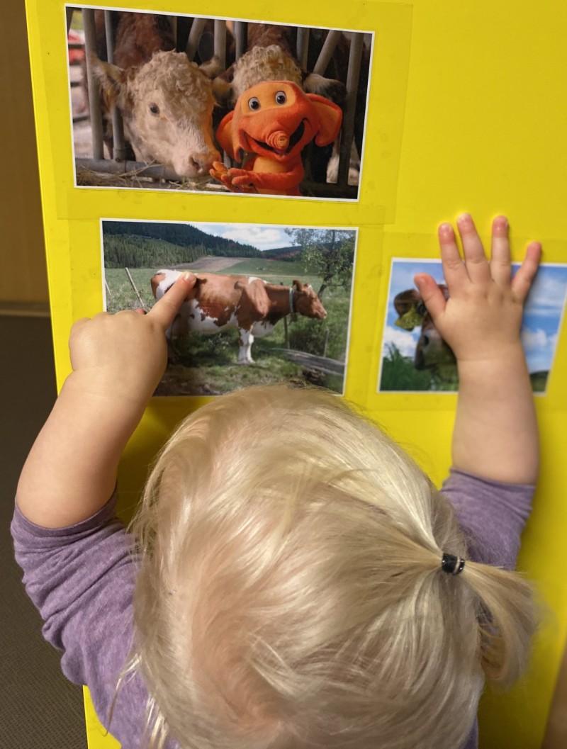 Vi er opptatt av barns språktilegnelse og forsterker tema ved bruk av konkreter og bilder som en naturlig del av hverdagen