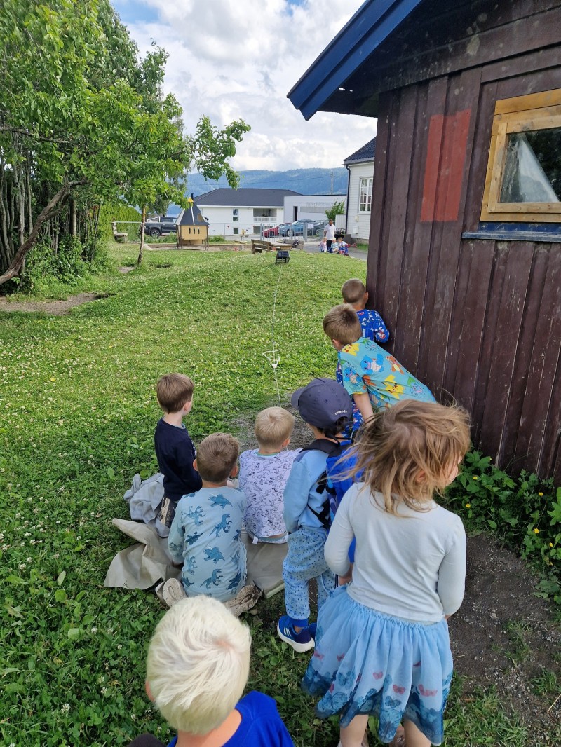 Aktiv i lek