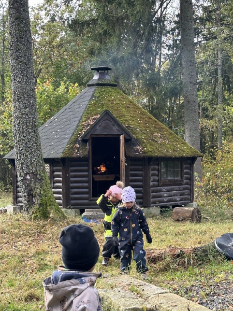 Indianer skogen