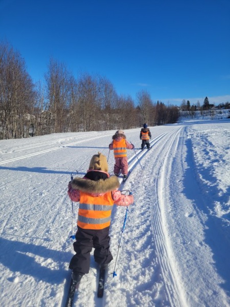 Skitur