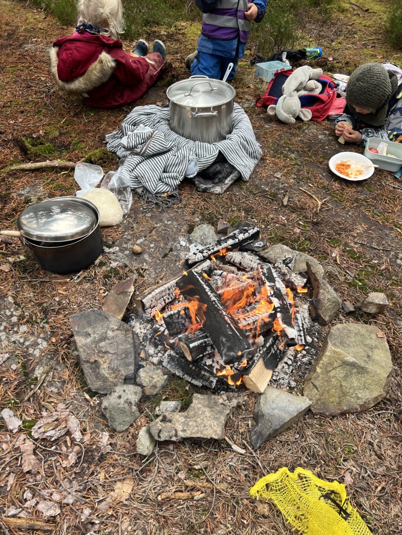 Mat på bål i skogen