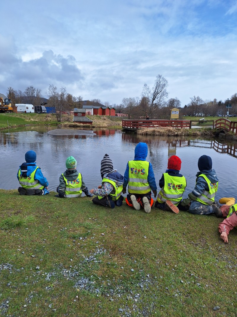 Tur til Andedammen