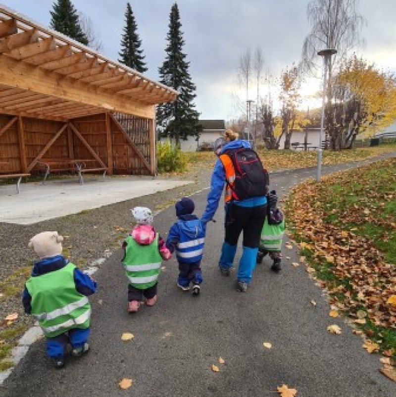 "Hm... hva skjer med alle bladene?" Mye undring underveis på tur i nærmiljøet vårt.