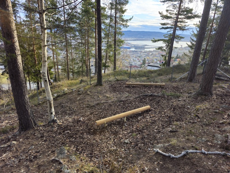 Lekeplass i skogen