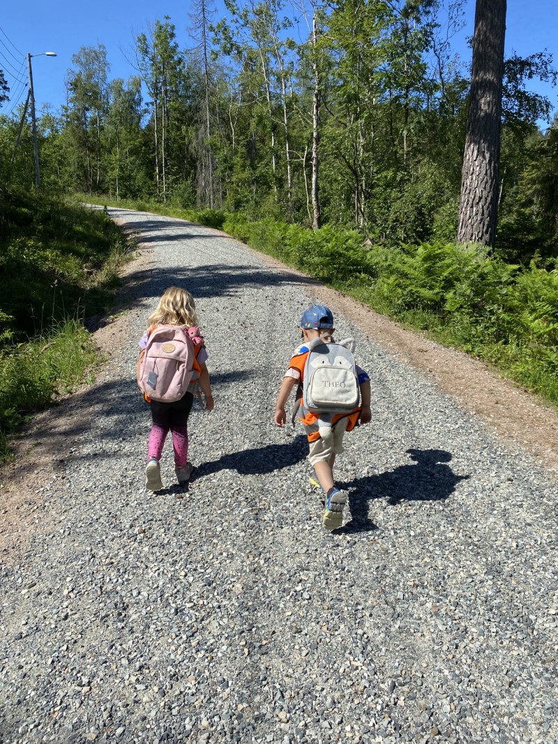 Tur i skogen