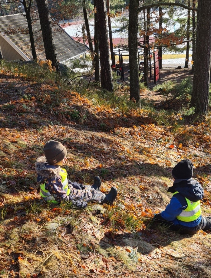 Tid til undring og nysgjerrighet i skogen