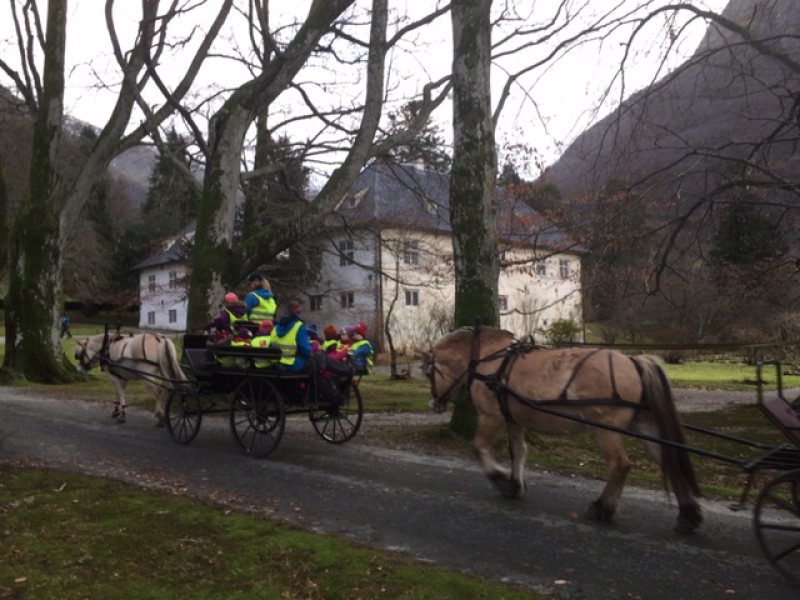 Hest og dombjelle