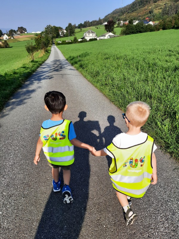 Venner på tur