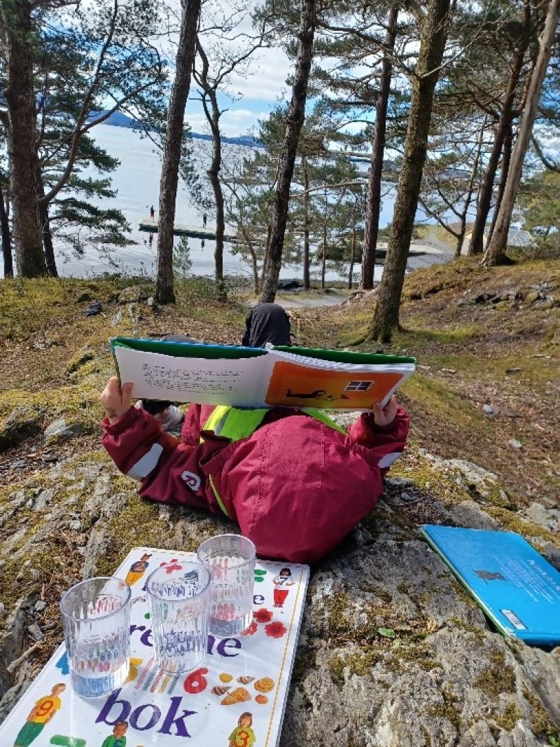 Vi tar med det pedagogiske ut i naturen. ''Friområdet''.