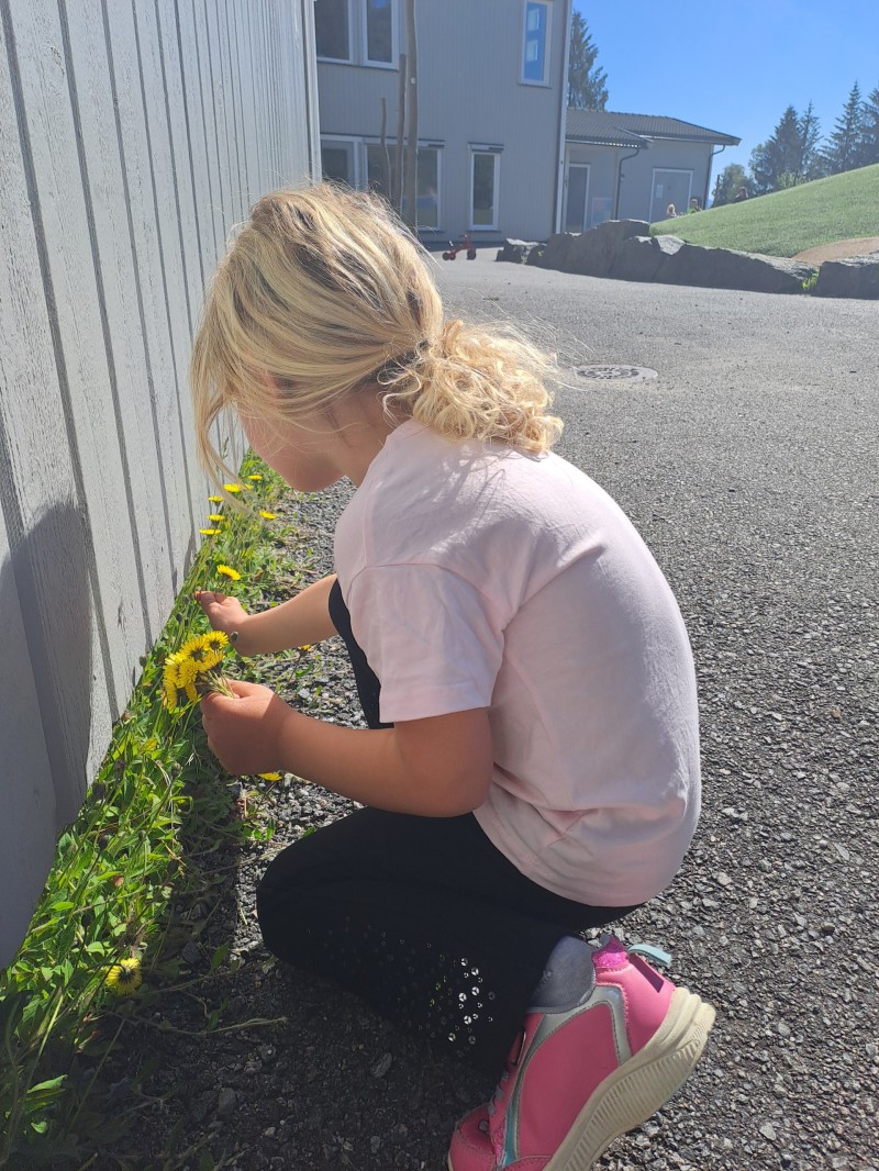 Vil du også ha en så fin blomst?