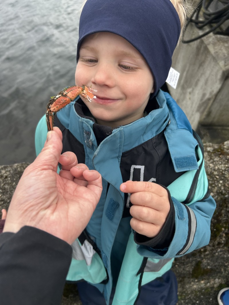 Har du noen gang luktet så fersk krabbe?