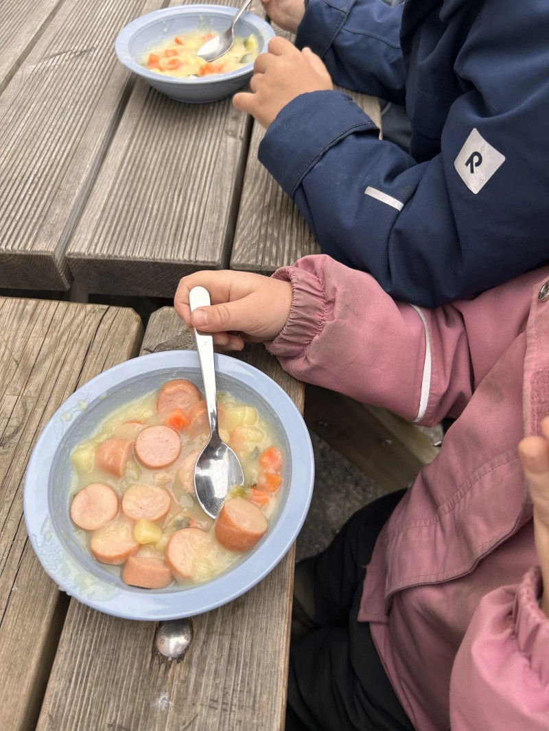 Hjemmelaget lapskaus på bålet