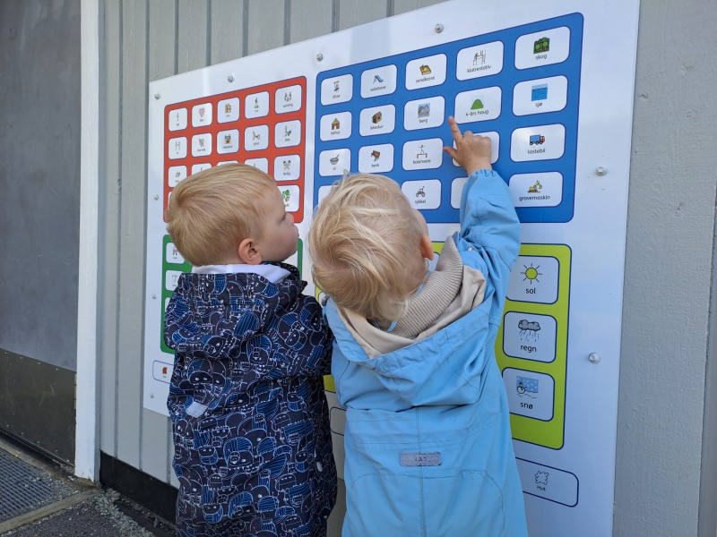 Språk er så mye mer enn ord