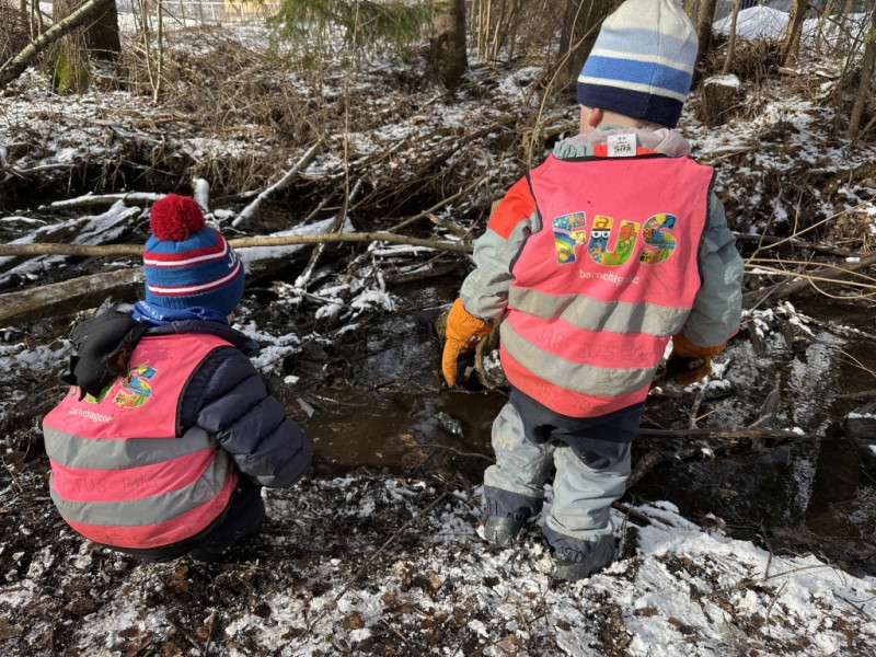 Undring finner vi i naturens små detaljer