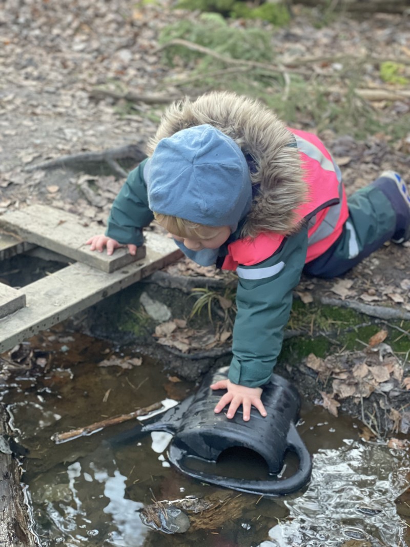 En liten bekk i skogen