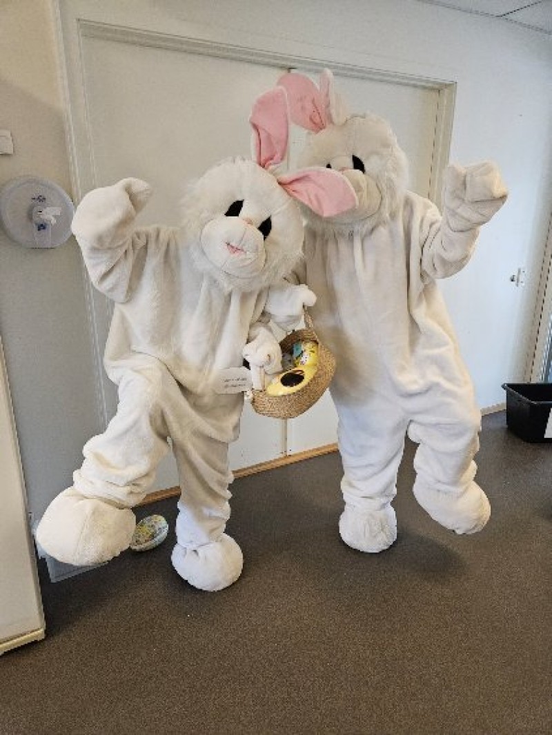 Påskeharane kjem alltid på besøk når det er påske